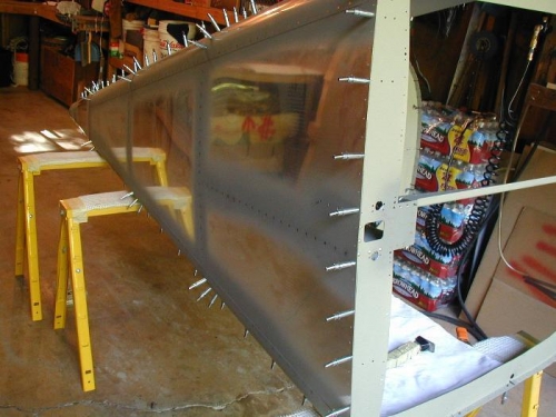 A look at the bottom skin