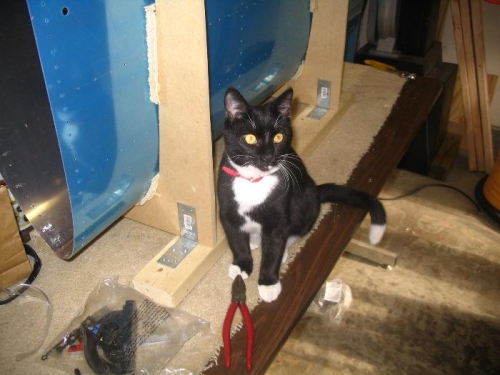 A new quality control inspector