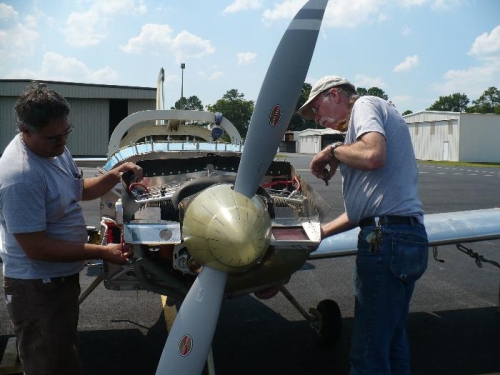 Getting the once over by Charlie