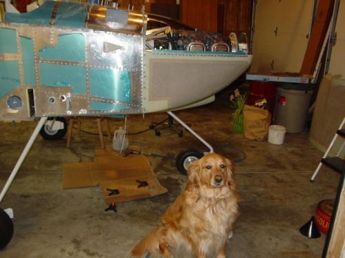 Here you can see the lower half with the strip clecoed on,along with the RV dog.
