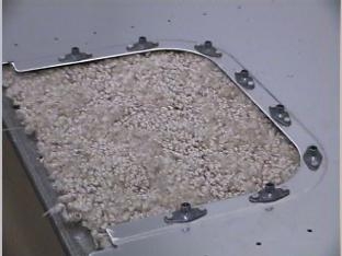 Riviting the platenuts to the bottom skins.