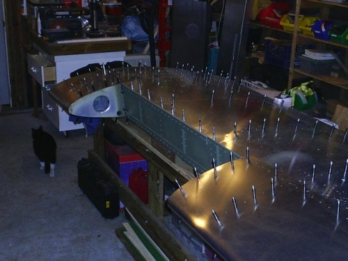 Left leading edge - 2 pieces