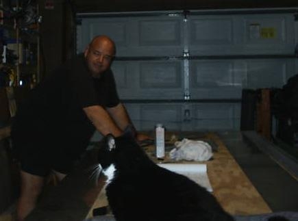 Meow once, cut twice... or something like that