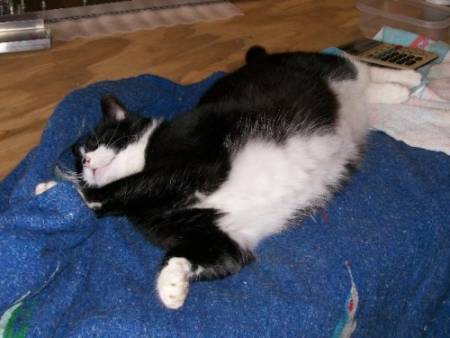 Unimpressed with the results