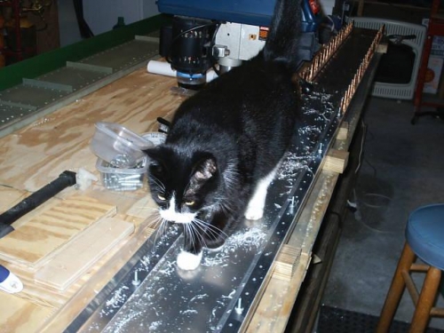 See.. I told you it would hold weight