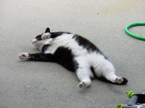 A total lack of enthusiasm