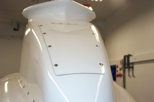 Doghouse inspection door