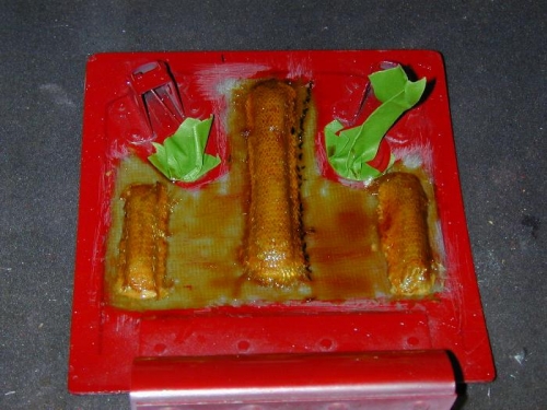 1 ply BID glass on foam ribs