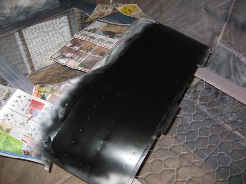 Painted Glare Shield