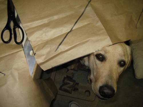 Help cut patterns?  I don't think so.