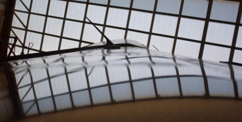 Upper wing surface view.