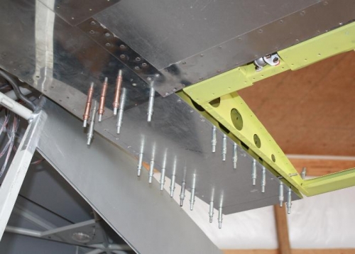 Bottom view, left root rib.