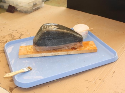 3 ply of multidirectional ply epoxied in place.