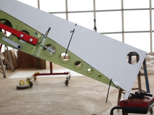 Using the wing template.