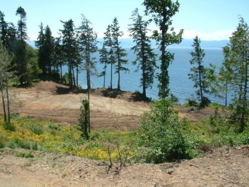 Waiting for the driver...