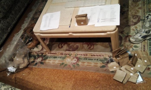 Wow! Sure are a lot of little bits.......