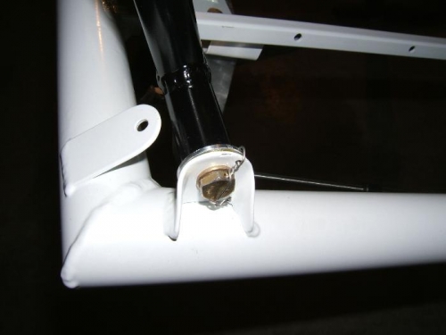 Bolt and plug safetied