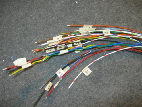 EMS wire harness