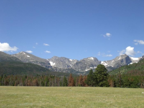 View from Glacier Basin Campground (notice the pine beetle damage in the foreground)
