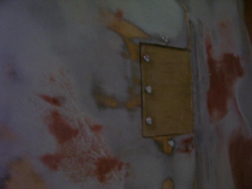 Modified Hinge Rudder Hinge Doors