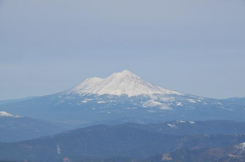 Enroute To Albany - Shasta