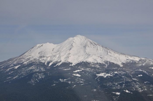 Enroute To Albany - Shasta