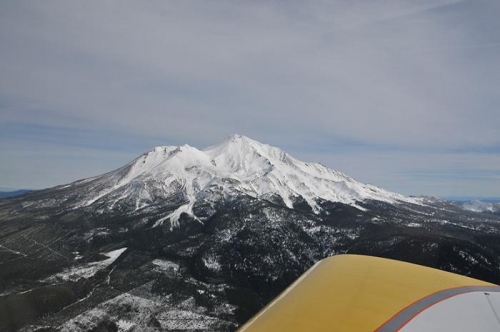 Enroute To Albany - Shasta