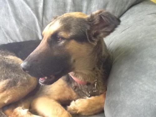 Huey's not worried about it.