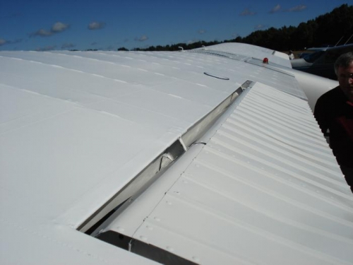 Beautiful fabric wing