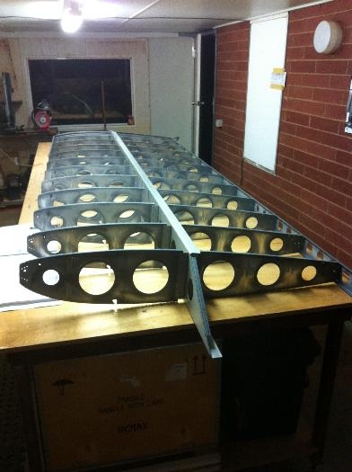 Right wing skeleton.