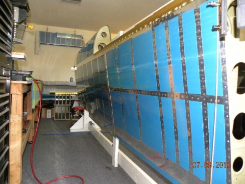 Top Side Left WIng Root