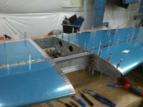 Right side ribs complete(HS inverted)