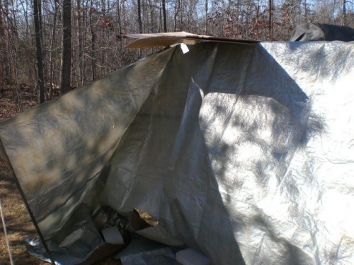 28 degrees...made a wind break