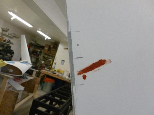 Insets cut flesh wound repaired