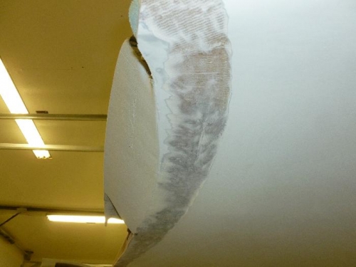 Getting ready for attachment