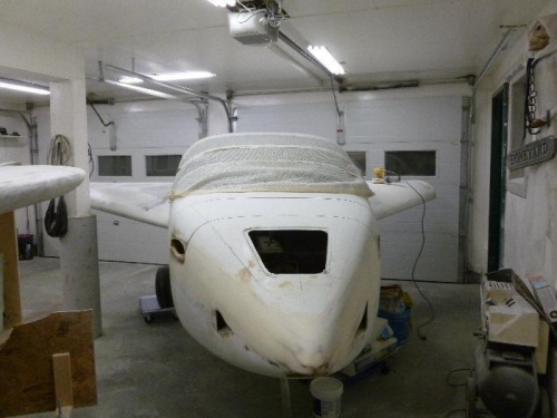 SHARK run for your life