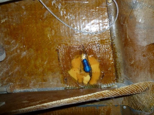 Bleeder for fuel sample