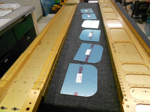 6 wing access panels