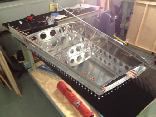 Skeleton partially enclosed