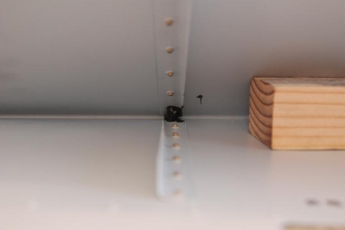 Little dab of RTV to keep cracks away