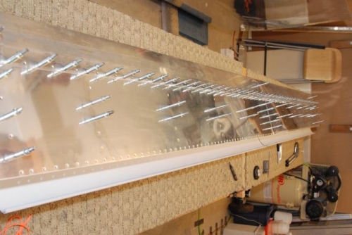 Two flaps, lookin' sweet