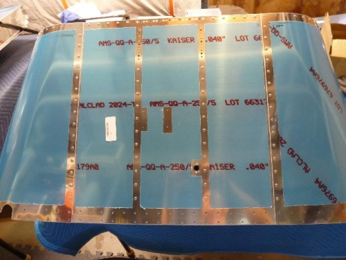bottom view of forward skin