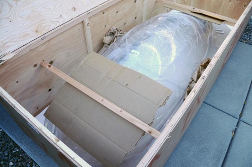 Canopy #2 - Hum, What's Inside...?