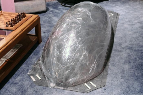 Canopy #2 - Ah, So Pretty Before The Cutting Begins...