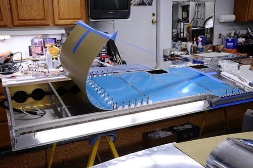 Right Wing - Folding The Skin Back For Bucking Access