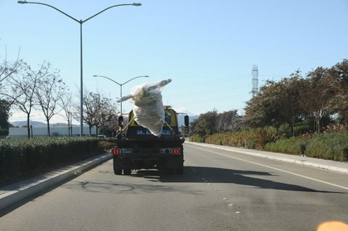 Just Before The Strap Came Loose...