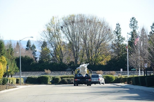 Craig Leading The Way