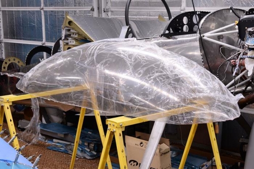 Canopy Initial Cutout