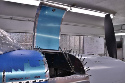 Baggage Door Assembly & Lift Strut