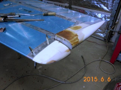 Left Elevator and Stablizer